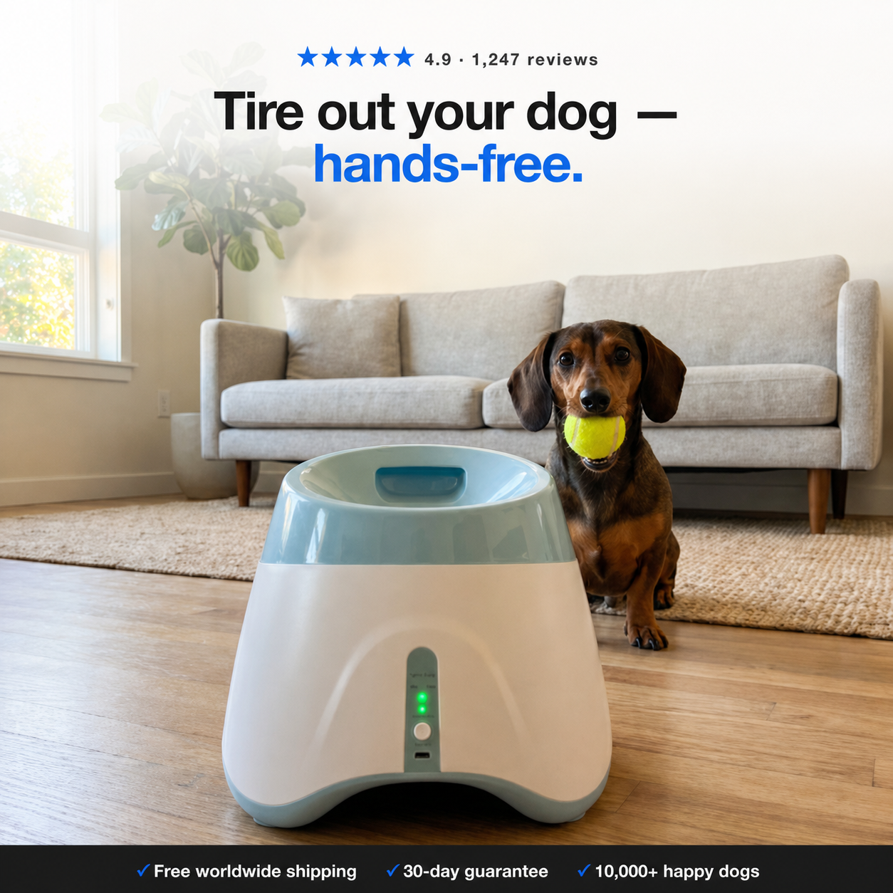 Paw™ Ball Launcher