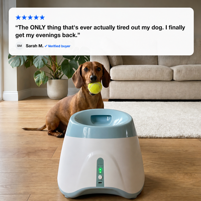 Paw™ Ball Launcher